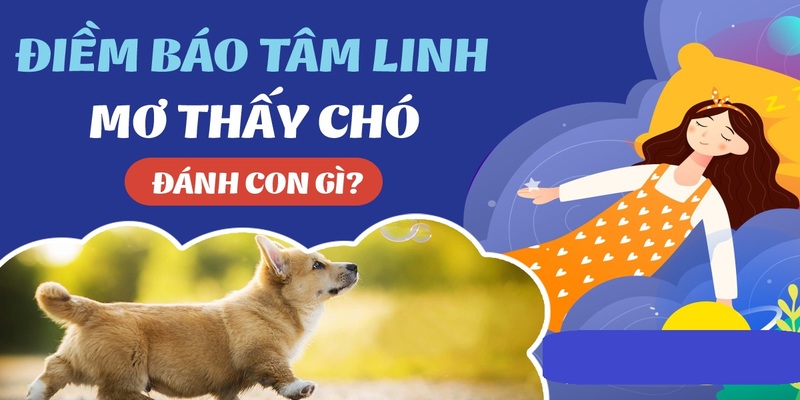 Giải đáp giấc mơ thấy chó đánh gì chính xác