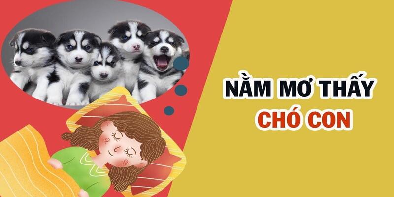 Nhìn thấy chó con trong mơ là điềm may mắn