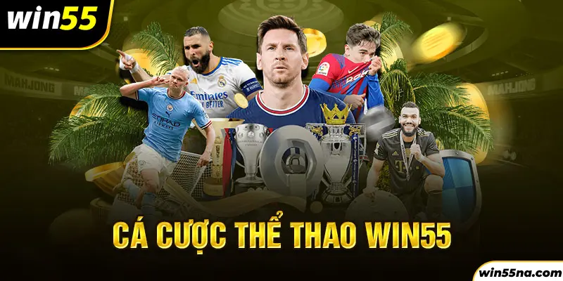 Sảnh cá cược thể thao nên tham gia tại Win55 khi được thưởng khuyến mãi