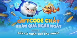 ảnh đại diện bắn cá nhận thẻ cào win55