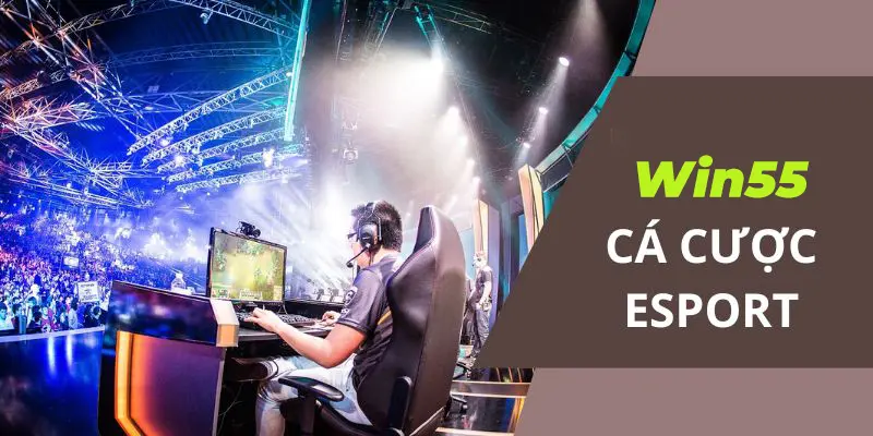 Giới thiệu cá cược Esports tại Win55